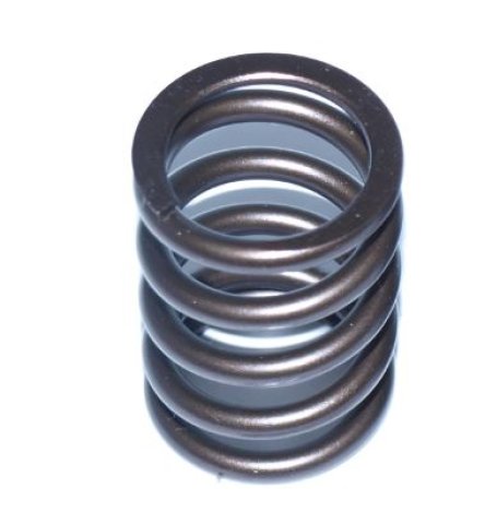 Schrick valve spring